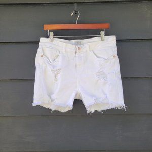JUDY BLUE XL JEAN SHORTS